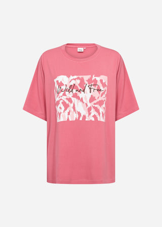 WA-CAIMI 3